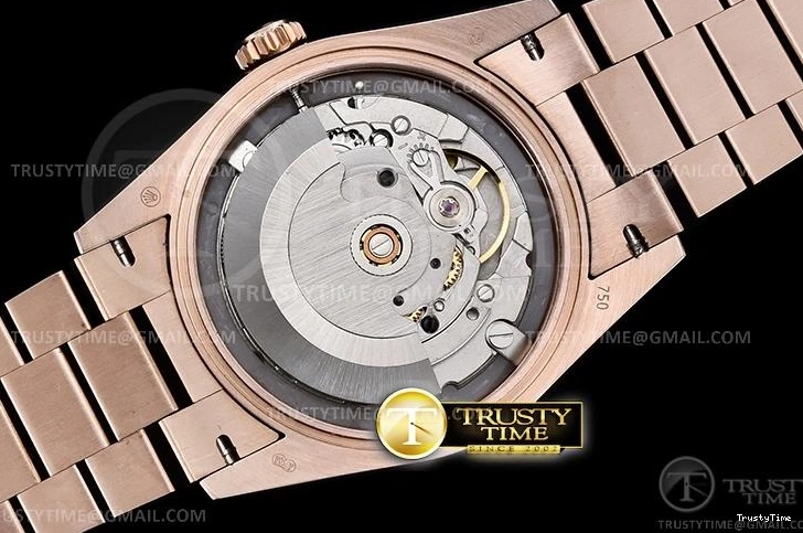 1216 RDD0219G – DayDate 36mm Practical 693